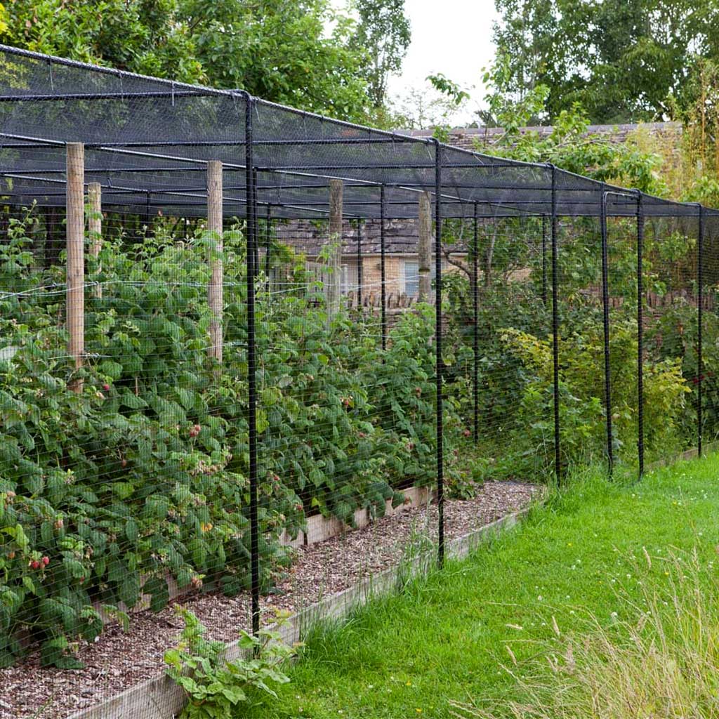 Fruit Cage Netting Standard 18mm x 18mm Bird Netting – 60GSM - Image 3