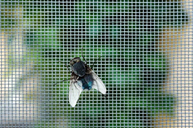 Ultimate Fly Screen Mesh Protection Against Birds, Wasps & Flies