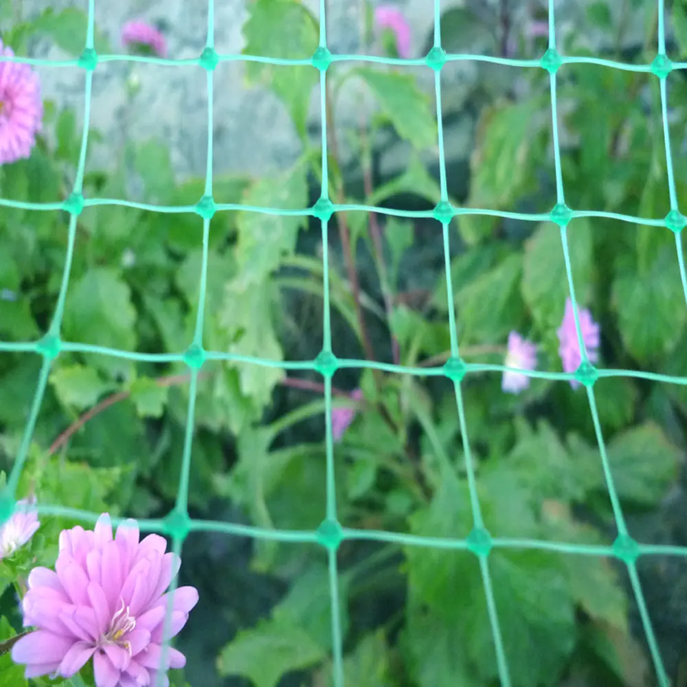 UV-Stabilised Extruded Plant Support Netting Durable & Rot-Proof