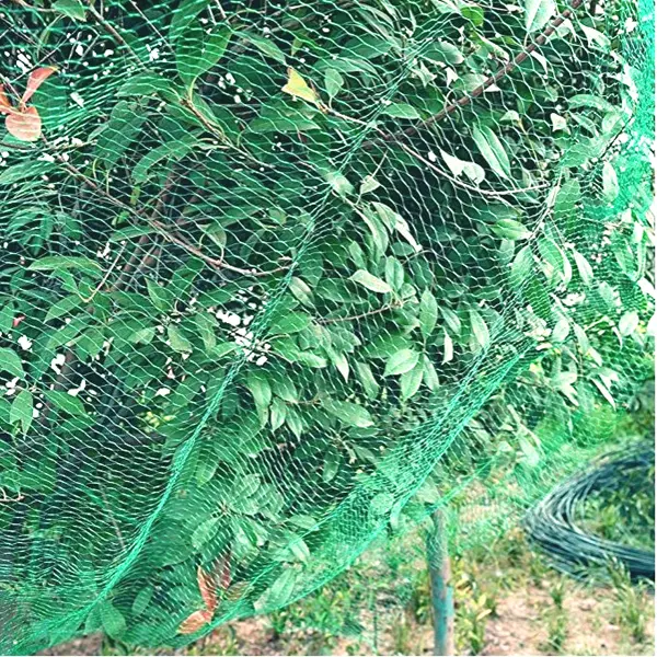 UV-Stabilised Extruded Plant Support Netting Durable & Rot-Proof - Image 2