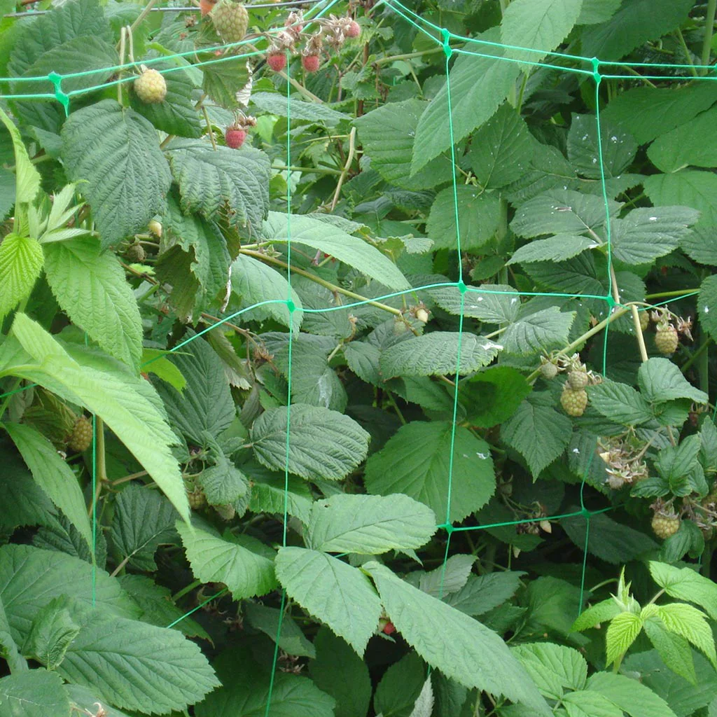 UV-Stabilised Extruded Plant Support Netting Durable & Rot-Proof - Image 5